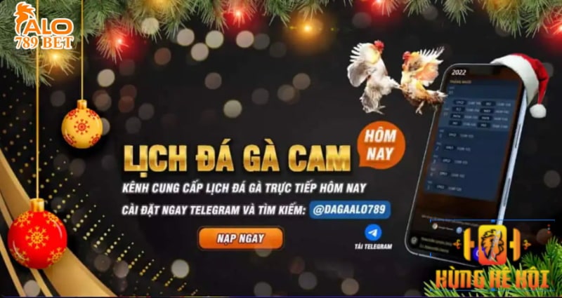 ALO789 BET - Đá gà Thomo trực tiếp uy tín, xanh chín