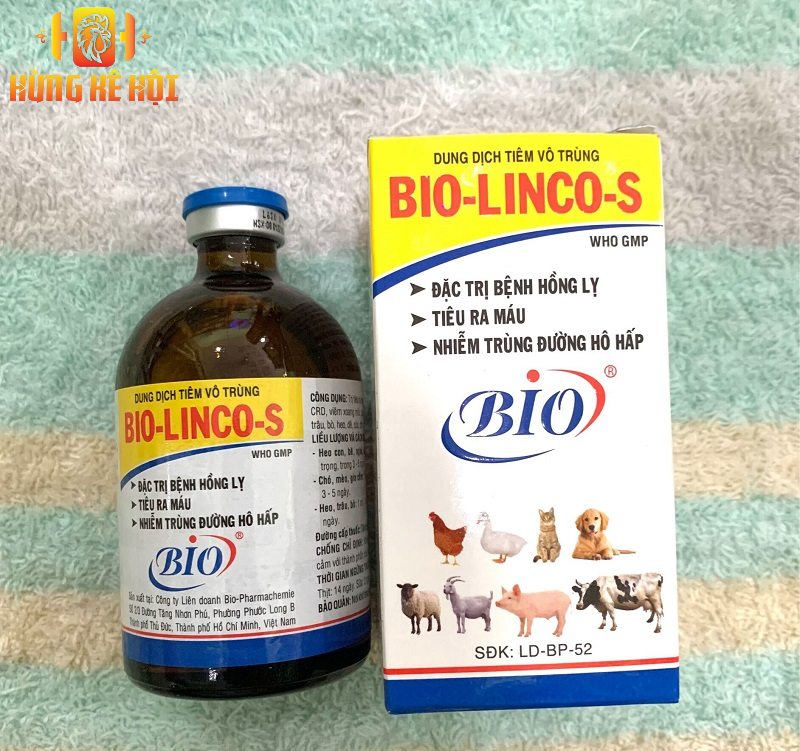 Bio Linco S giá bao nhiêu? Cách sử dụng hiệu quả cho gà