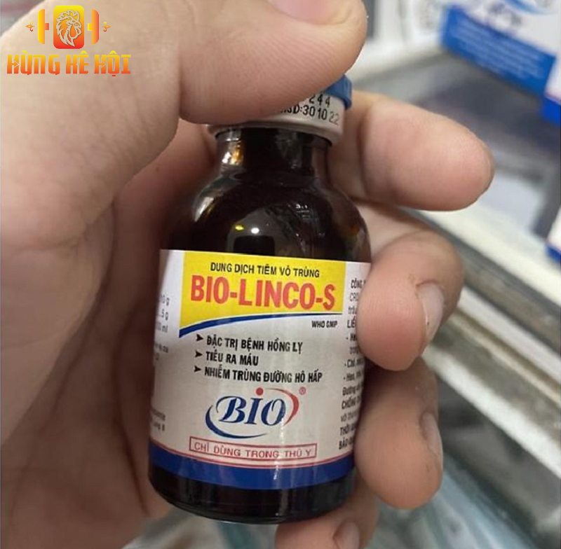 Bio Linco S giá bao nhiêu? Cách sử dụng hiệu quả cho gà