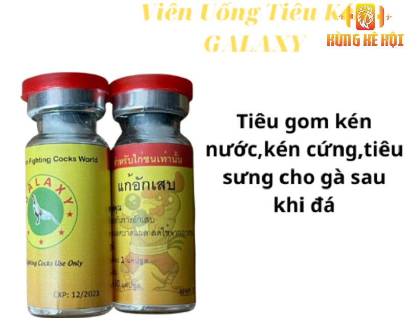 Cách chữa gà bị kén nước hiệu quả nhất