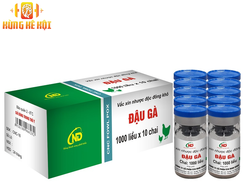 Mua vacxin cho gà ở đâu? Điều cần biết để bảo vệ đàn gà