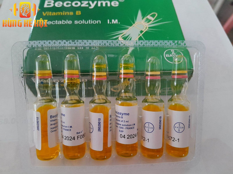 Thuốc Becozyme cho gà - Lợi ích tăng cường sức khỏe