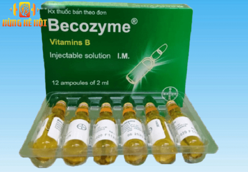 Thuốc Becozyme cho gà - Lợi ích tăng cường sức khỏe