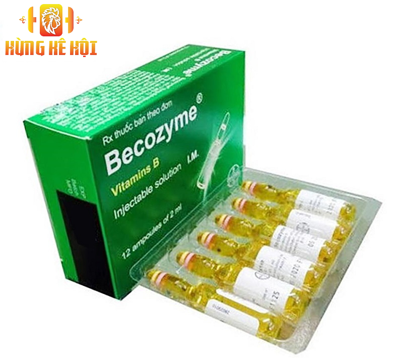 Thuốc Becozyme cho gà - Lợi ích tăng cường sức khỏe