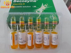 Sử dụng thuốc Becozyme giúp gà tăng cường sức khỏe tổng thể